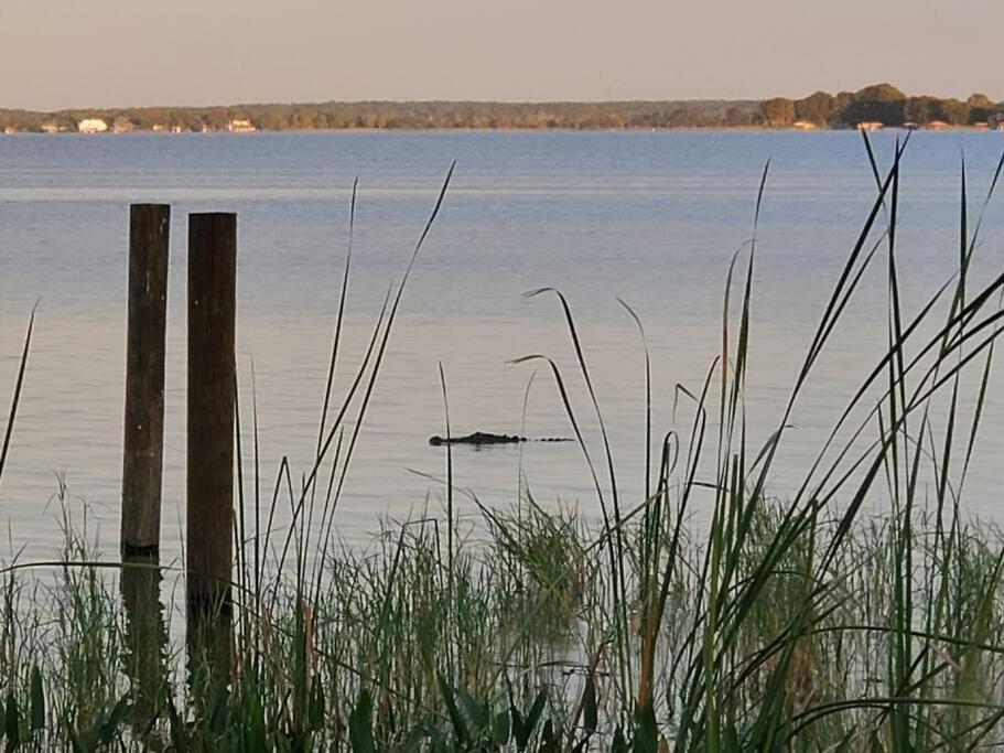 Camp St. Cabanas Unit 2 On Lake Dora Tavares Exterior photo